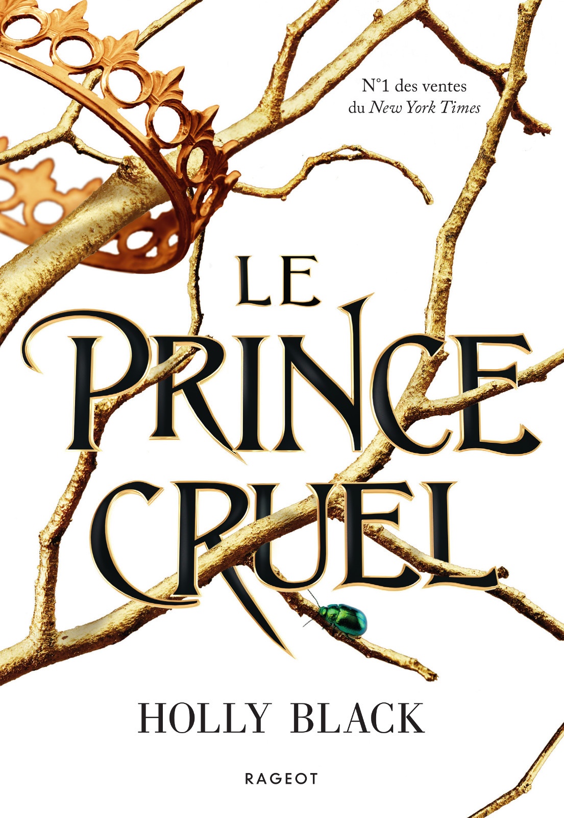 Le peuple de l'air T1 - Le Prince cruel
